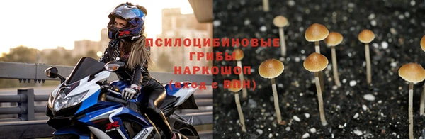 марки nbome Баксан