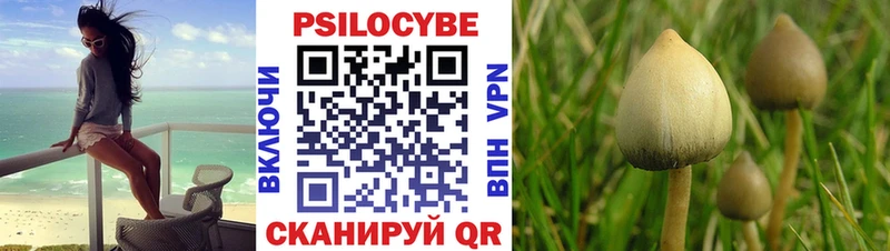 Псилоцибиновые грибы ЛСД Зима