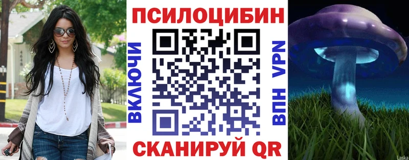купить наркоту  площадка состав  Псилоцибиновые грибы GOLDEN TEACHER  Зима 